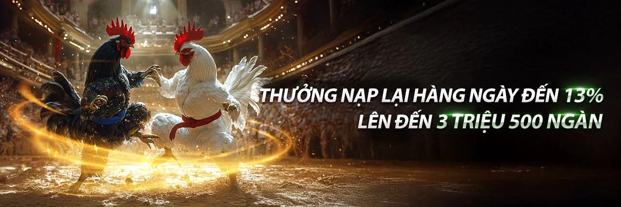 Tin tức K8vina mới nhất 2026