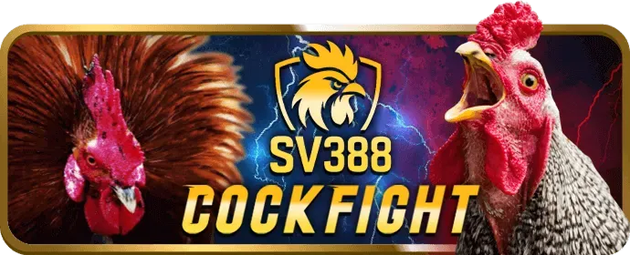 Các loại game bài phổ biến nhất tại k8vina