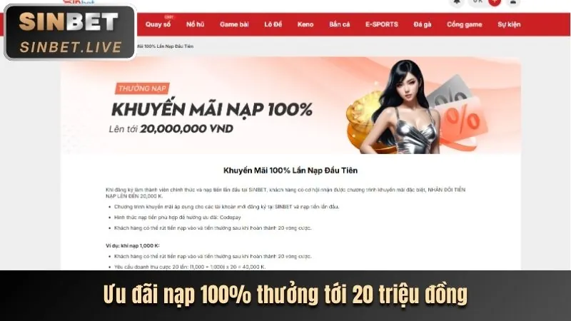 Bước 1: Điền thông tin đăng ký K8vina